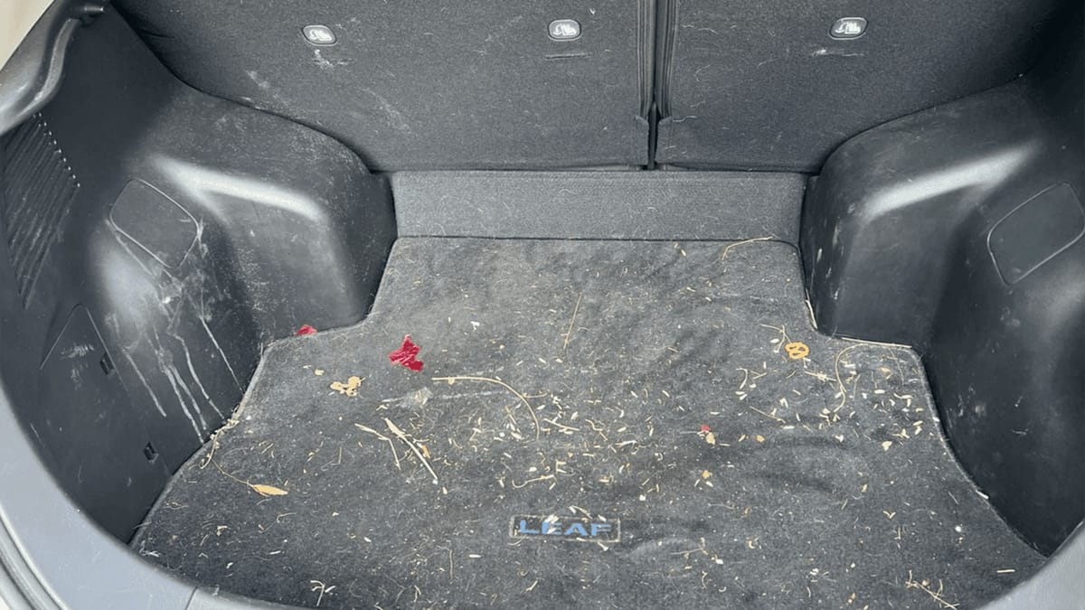 Cargo area cleaned — before