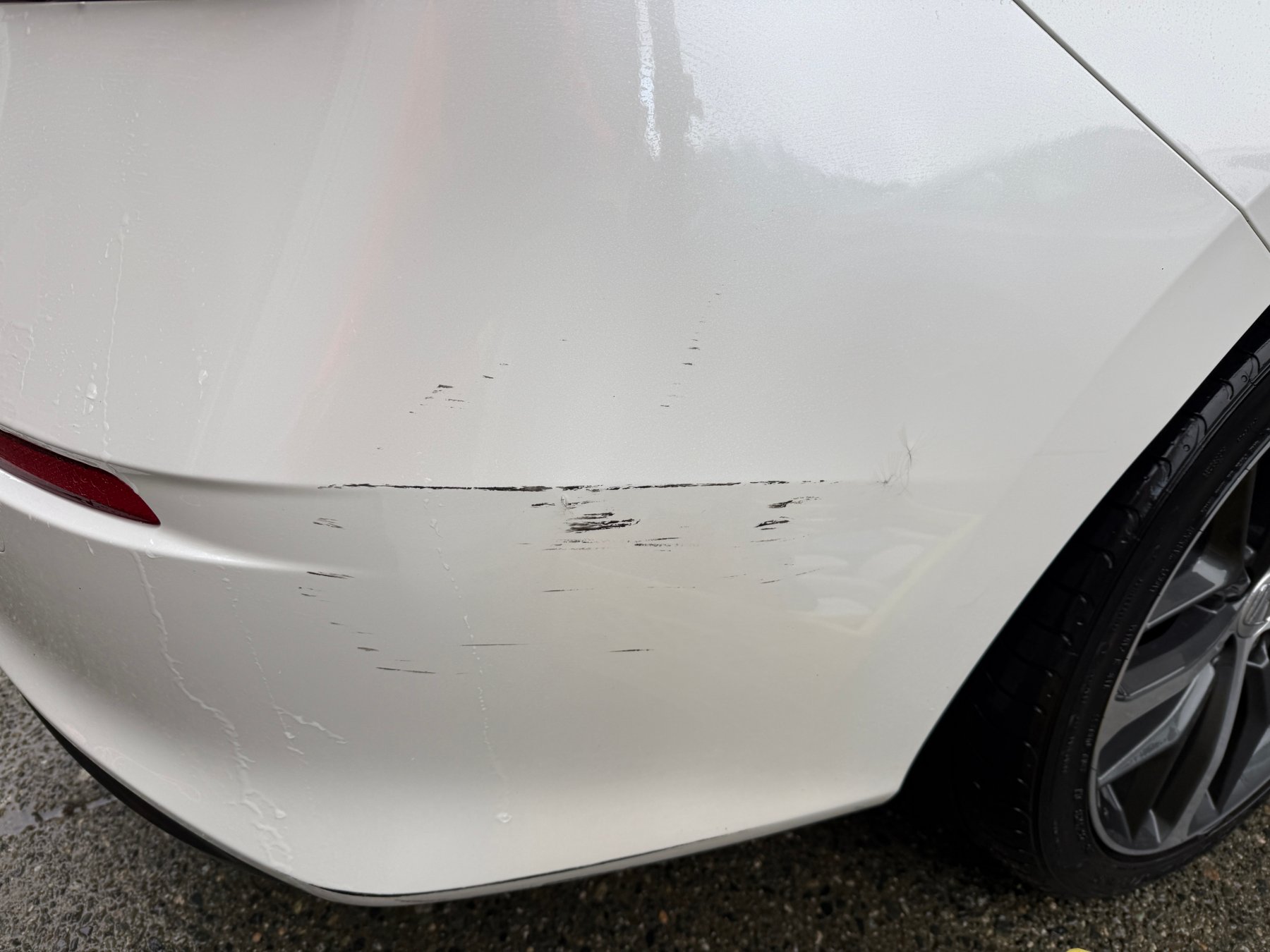 Rear bumper scuffs before polishing